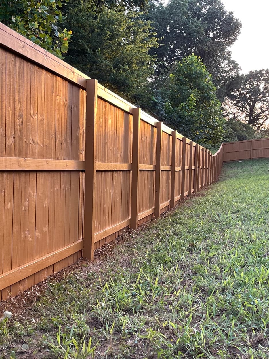 Staining & Restoration